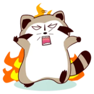 😡 mapache, enojado, dibujos animados, fuego whatsapp sticker