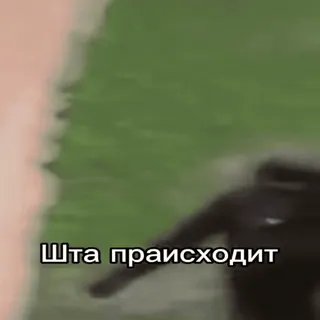 🤯 Шта праисходит telegram sticker
