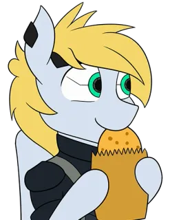 🍪 poni, imut, kartun, hewan, bagel, makan siang telegram sticker