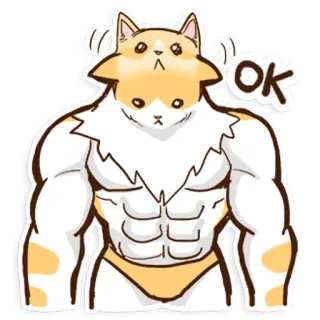 👌 OK gatto, muscolo, ok, meme, umorismo, animale, palestrato whatsapp sticker