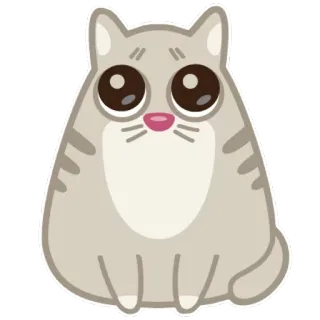 😋 gato, lindo, animal, gatito, mascota telegram sticker