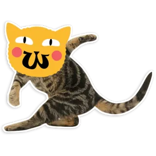 😋 Katze, Sticker, Tier, süß, lustig, Cartoon, Meme telegram sticker