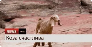 😊 Коза счастлива ヤギ, 動物, ニュース, 幸せ, レザー telegram sticker