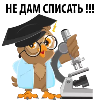 😡 НЕ ДАМ СПИСАТЬ!!! coruja, microscópio, cientista, escola, educação, aluno whatsapp sticker