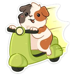🛵 モルモット, スクーター, 動物, かわいい, 漫画, ペット, げっ歯類, 乗り物 telegram sticker