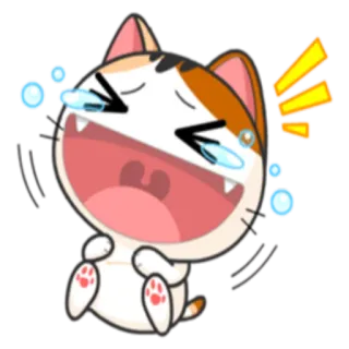 😂 gato, chorar, triste, emoção, adesivo, animal, desenho animado telegram sticker