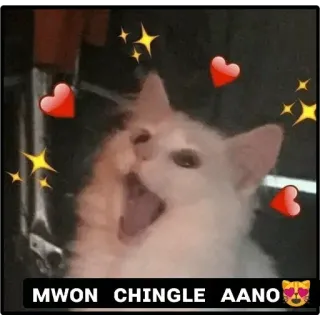 🤓 MWON CHINGLE AANO cat, cute, animal, hearts, stars, kitty telegram sticker