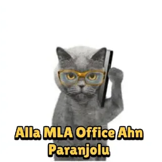 😂 Alla MLA Office Ahn Paranjolu cat, office, glasses, politician, meme telegram sticker