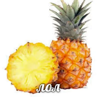 😁 ЛОЛ 파인애플, 과일, 열대, 음식, ㅋㅋㅋ, 유머, 밈 telegram sticker
