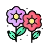 🌸