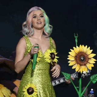 🌈 Katy Perry Katy Perry, singer, sunflower, dress, pop star, rainbow hair, performance, music whatsapp sticker