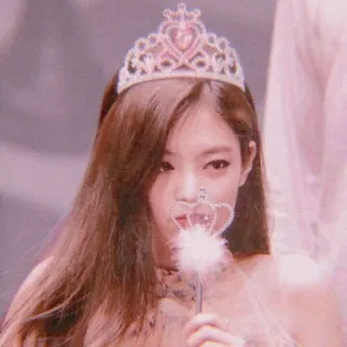 🦄 princesa, coroa, tiara, rosa, menina, fofa, brilho telegram sticker