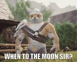 🧐 WHEN TO THE MOON SIR? 犬, バイキング, 月, 質問, 金融 telegram sticker
