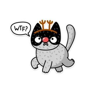 😧 WTF? 고양이, 스티커, 만화, 동물, WTF, 유머 telegram sticker