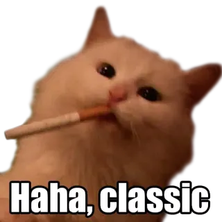 😉 Haha, classic cat, smoking, cigarette, funny, meme telegram sticker