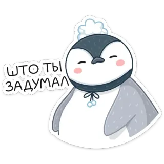 🤨 ШТО ТЫ ЗАДУМАЛ pinguïn, winter, muts, schattig, russisch, tekst telegram sticker
