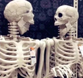 🤩 skeleton, halloween, anatomy, bones, spooky whatsapp sticker