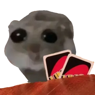 🃏 Sad Hamster Meme sad hamster, hamster, meme, uno, cards, funny, cute telegram sticker