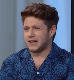 🎸 Niall Horan cantor, celebridade, retrato, pessoa, música pop, One Direction telegram sticker
