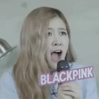 🍟 BLACKPINK BLACKPINK, K-pop, เพลง, เกิร์ลกรุ๊ป whatsapp sticker