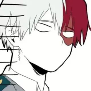 ❄️ Shoto Todoroki My Hero Academia Anime, Manga, Shoto Todoroki, My Hero Academia telegram sticker