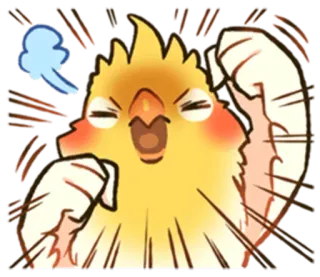 😤 calopsita, pássaro, fofo, bravo, animado, adesivo, alegre, desenho animado telegram sticker