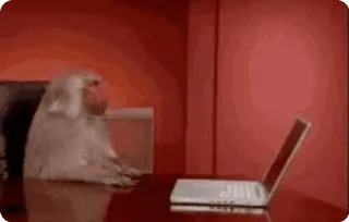 🌟 Affe, Computer, Tier, Laptop, Tippen, Büro, Pavian telegram sticker