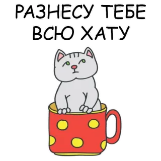 😄 РАЗНЕСУ ТЕБЕ ВСЮ ХАТУ cat, cup, russian, text, animal, sticker telegram sticker