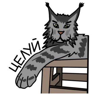 😚 ЦЕЛУЙ gato, animal, pegatina, ilustración telegram sticker