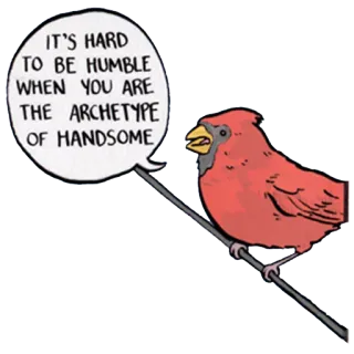 💁 IT'S HARD TO BE HUMBLE WHEN YOU ARE THE ARCHETYPE OF HANDSOME bird, cardinal, humble, handsome, archetype, funny telegram sticker