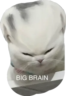 🧠 BIG BRAIN cat, big brain, meme, funny, animal telegram sticker