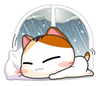 😴 gato, lluvia, dormilón, lindo, ventana, animal, kawaii telegram sticker