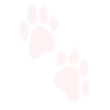 🐾