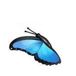 🦋