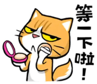 😗 禁止摸 Katze, Tier, Make-up, Kosmetik, wütend, Cartoon whatsapp sticker