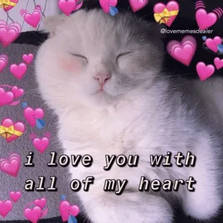 🍡 i love you with all of my heart chat, amour, coeur, mignon, animal, affection whatsapp sticker