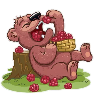 🍓 urso, framboesa, fruta, frutas vermelhas, animal, desenho animado telegram sticker
