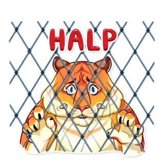 Amur Tiger telegram stickers