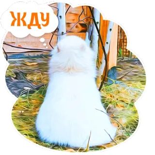 😺 ЖДУ dog, waiting, cute, pet, animal, domestic animal telegram sticker