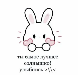 🦩 ты самое лучшее солнышко! улыбнись >\\< lapin, mignon, cœur, kawaii, tête de lapin telegram sticker