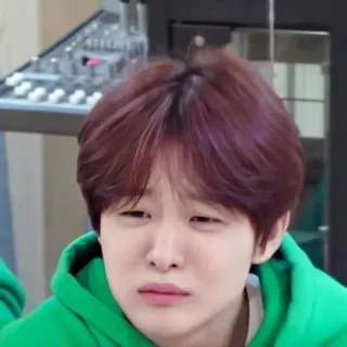 🐼 whatsapp sticker