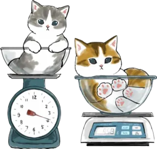 ⚖️ cat, kitten, animal, scales, cute, weight telegram sticker