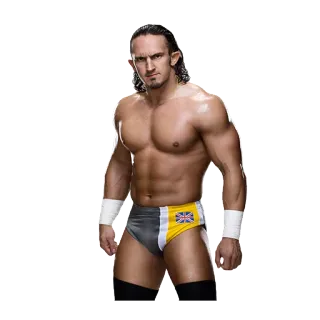 😊 Neville catcheur, athlète, sport, catch professionnel telegram sticker