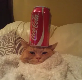 🧐 Coca-Cola кот, кока-кола, содовая, напиток, домашнее животное, рыжий кот telegram sticker