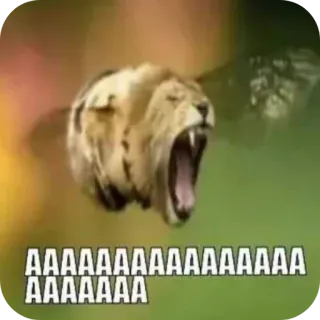 Больше стиков тут: @stikery4 telegram stickers