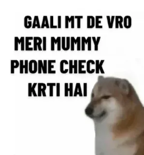 🙄 Cheems Doge meme GAALI MT DE VRO MERI MUMMY PHONE CHECK KRTI HAI Cheems, meme, doge, funny, text, humor telegram sticker
