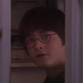 🦁 Harry Potter Harry Potter, Mago, Magia, Daniel Radcliffe, Película, Libro whatsapp sticker