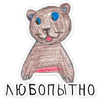 ⭐ ЛЮБОПЫТНО niedźwiedź, słodki, zwierzę, naklejka, kreskówka, rosyjski telegram sticker