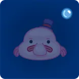 😐 blobfish, fish, sea creature, ocean, cute, animal, underwater telegram sticker