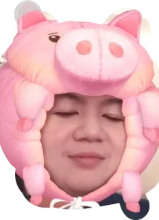 🐖 telegram sticker